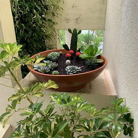 Modern Terrace 5min Center Lisbon Close To B Villa *